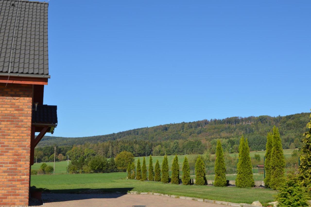 Lipa Guest house Novy Bor
